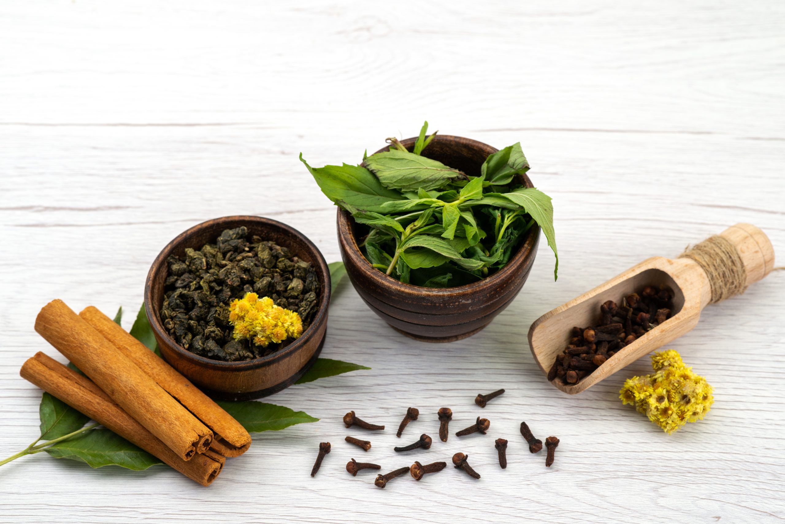گیاه دارویی ، گیاهان دارویی ، خواص گیاه دارویی ، کشت گیاه دارویی